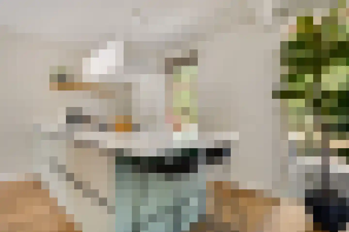 Oeveren 26 Linne thumbnail 17