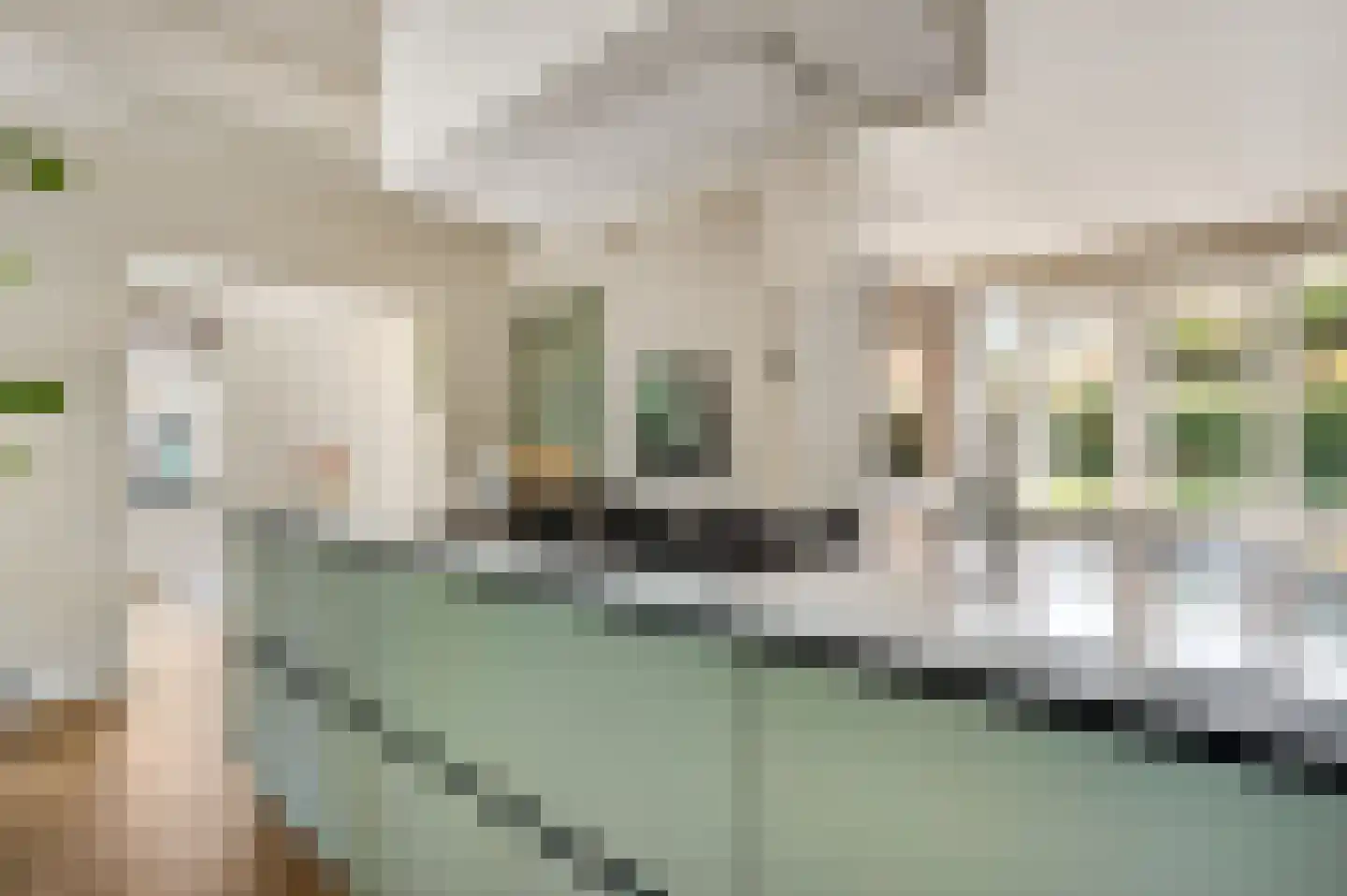 Oeveren 26 Linne thumbnail 18