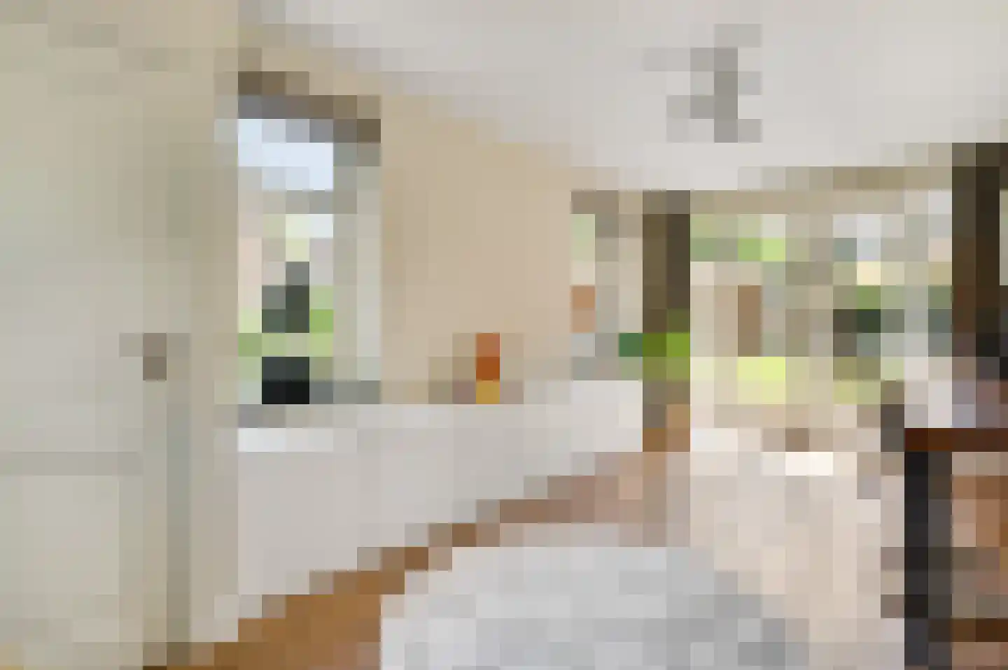 Oeveren 26 Linne thumbnail 19
