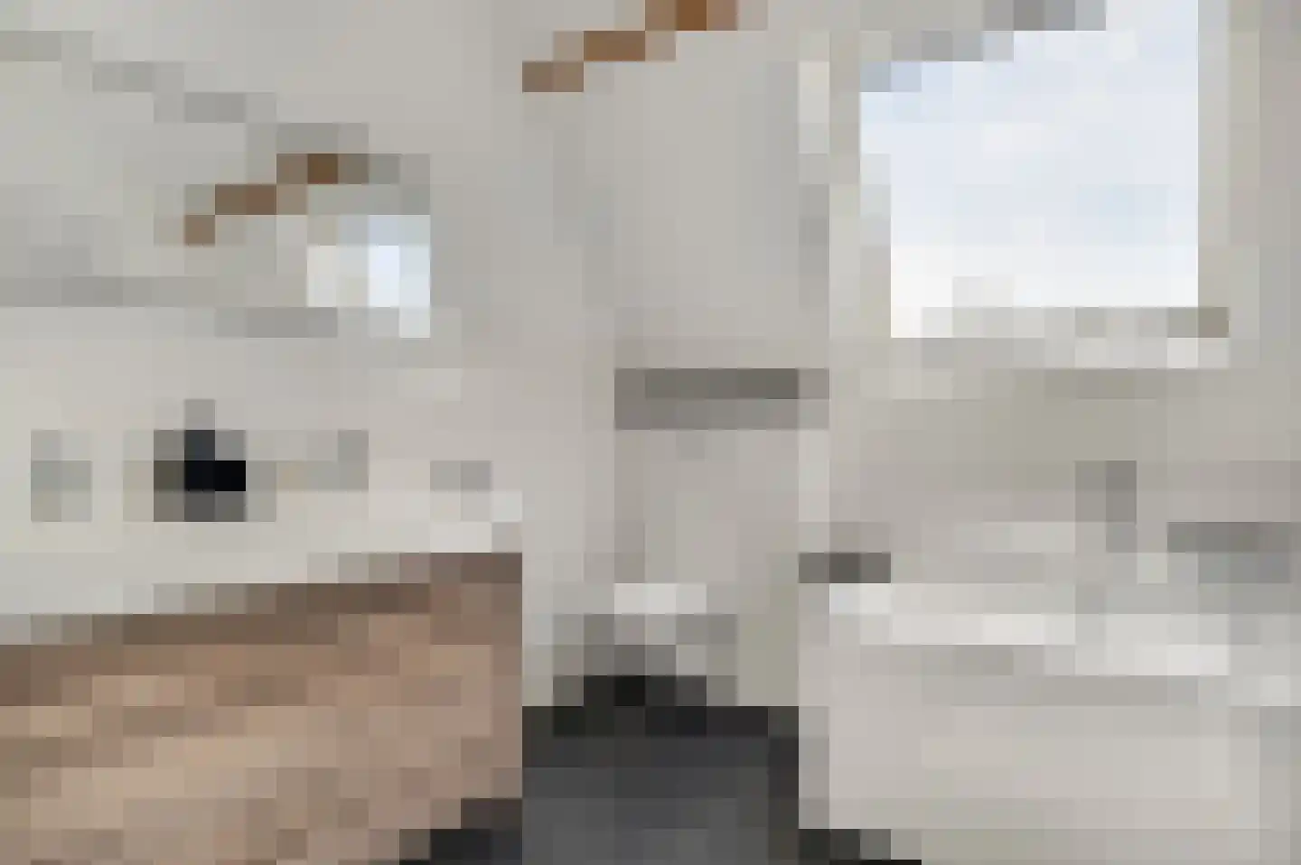 Oeveren 26 Linne thumbnail 46