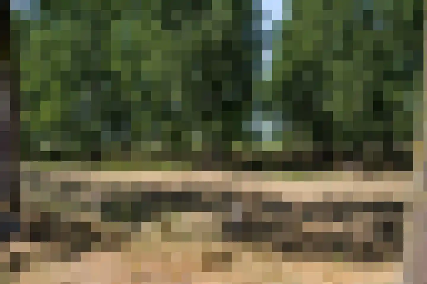 Oeveren 26 Linne thumbnail 52