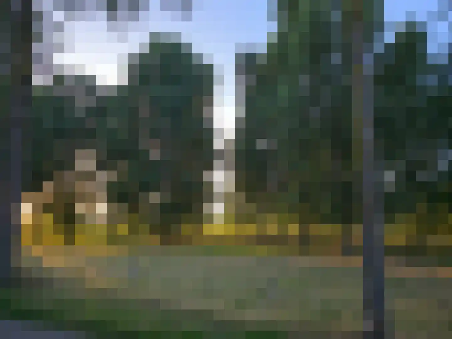Oeveren 26 Linne thumbnail 54