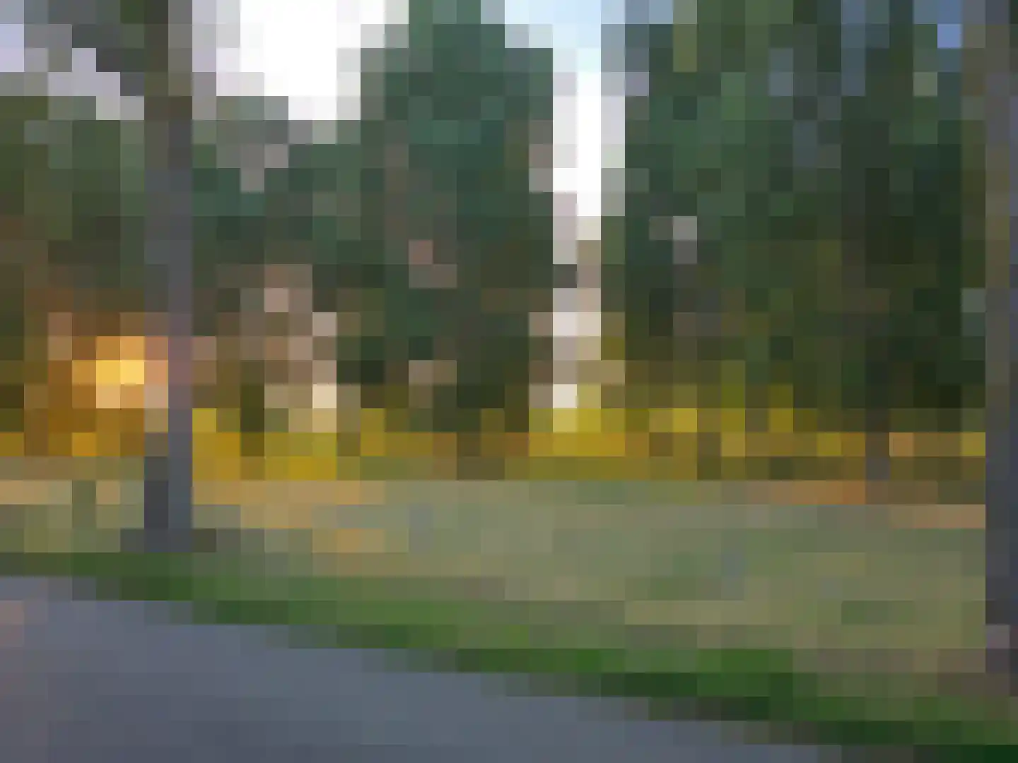 Oeveren 26 Linne thumbnail 55