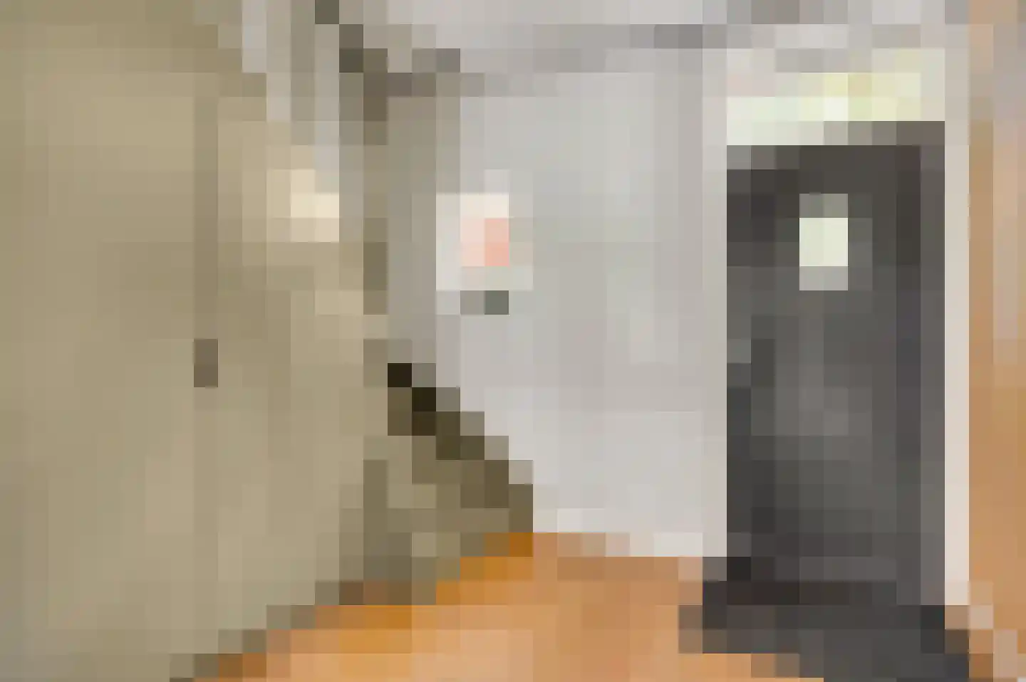 Oeveren 26 Linne thumbnail 7