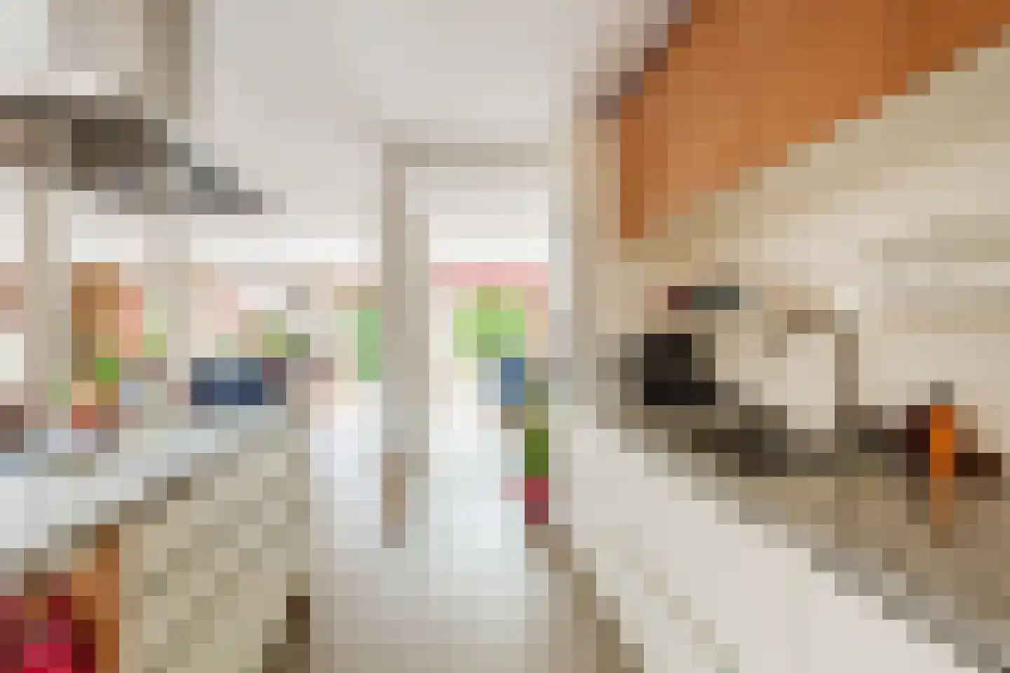 Oevergriend 104 Almere thumbnail 27