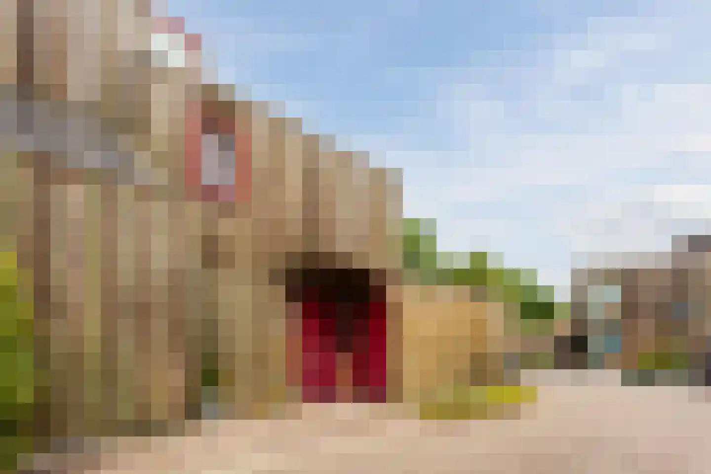 Oevergriend 104 Almere thumbnail 4