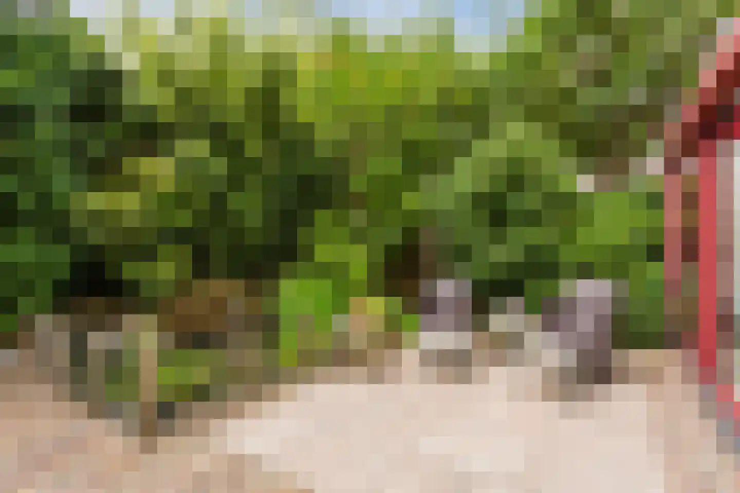 Oevergriend 104 Almere thumbnail 57