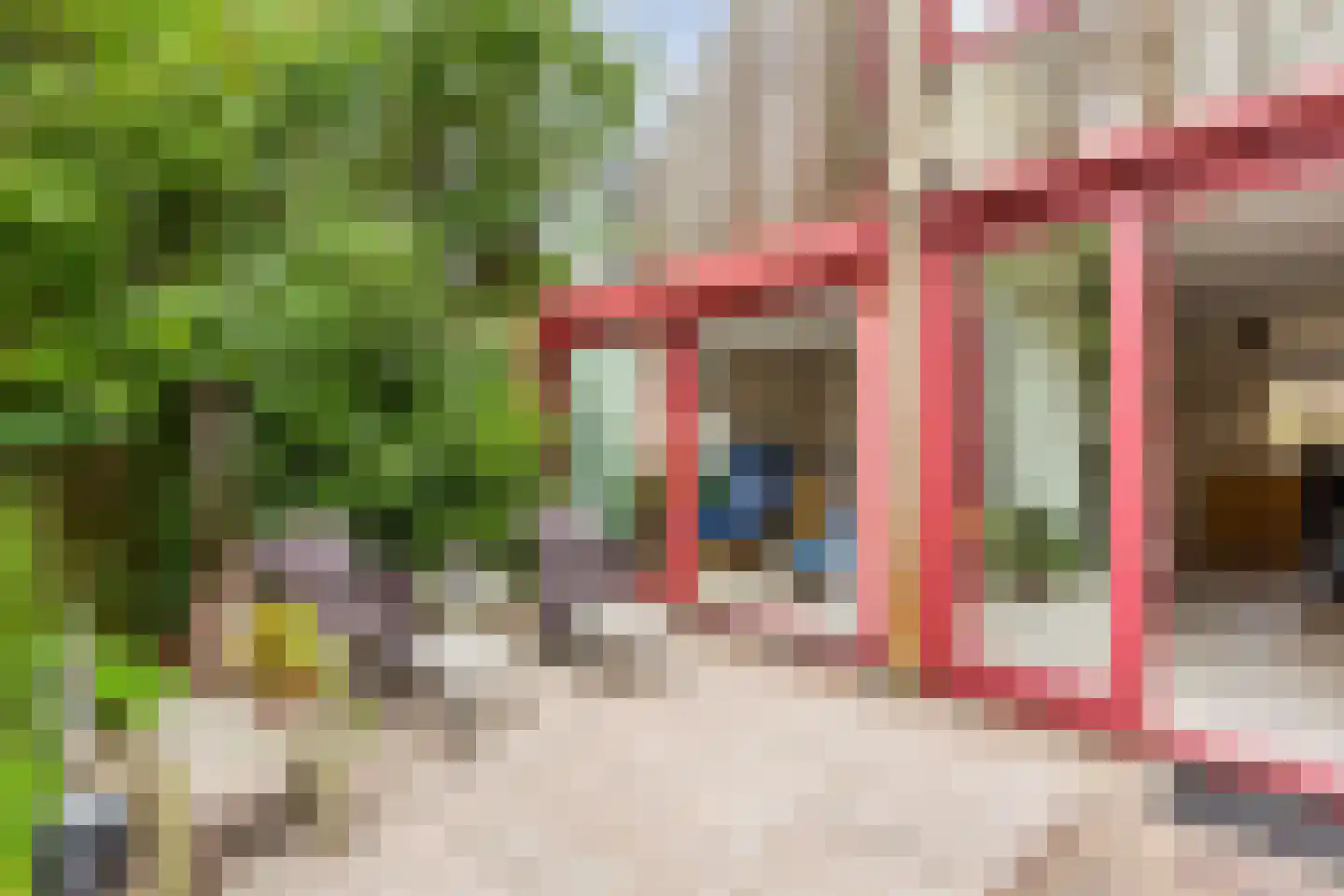 Oevergriend 104 Almere thumbnail 58