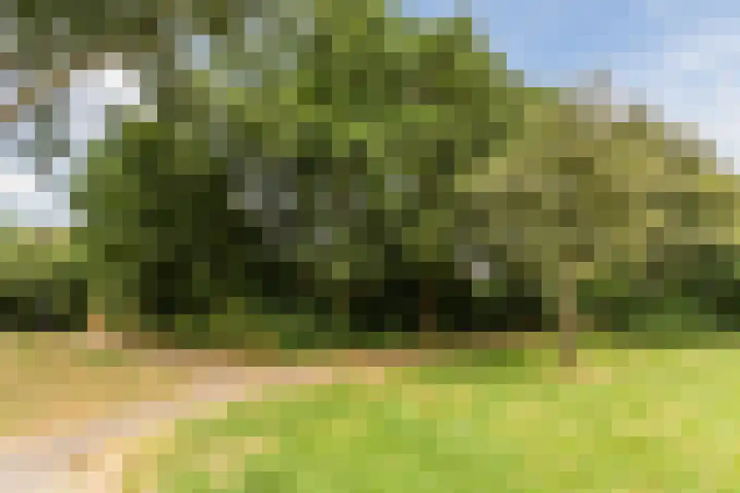 Oevergriend 104 Almere thumbnail 65
