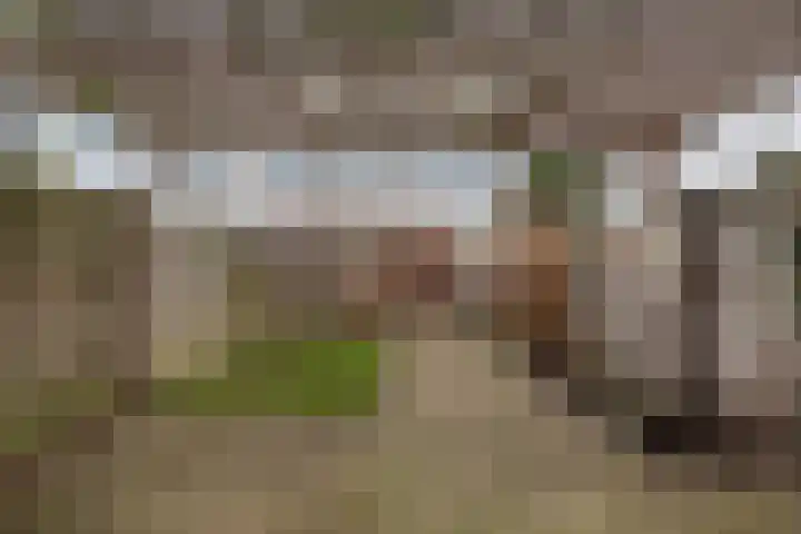 Oevergriend 134 Almere thumbnail 30