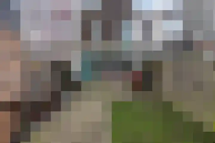 Oevergriend 134 Almere thumbnail 33