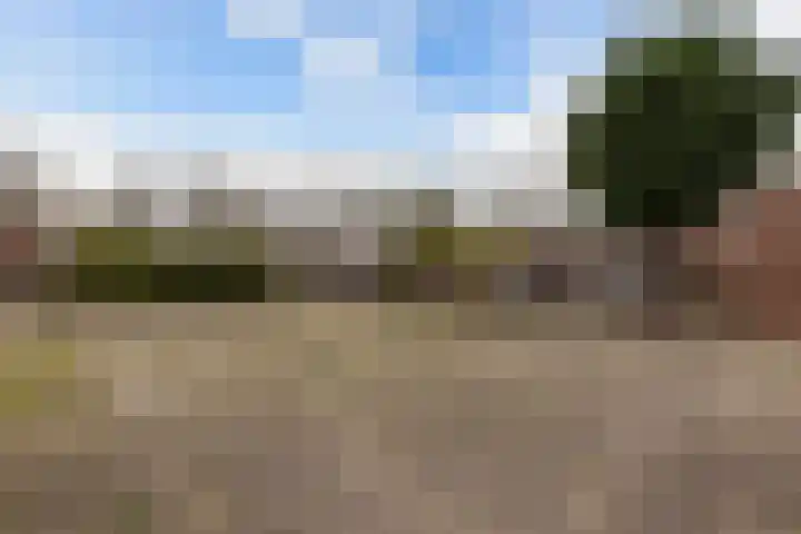Oevergriend 134 Almere thumbnail 35