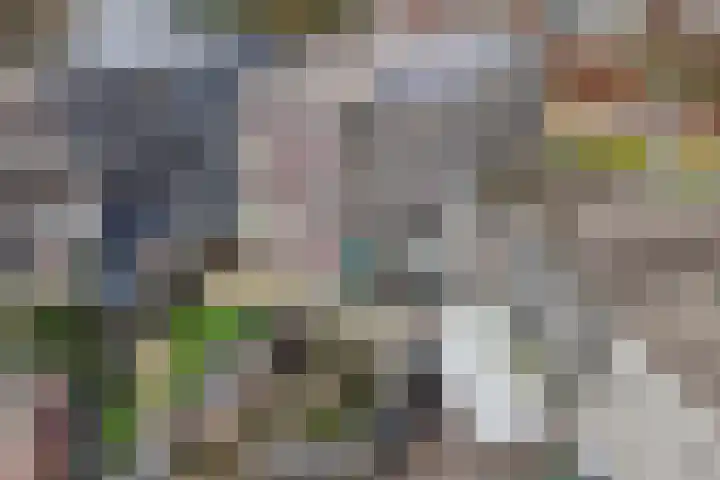 Oevergriend 134 Almere thumbnail 38