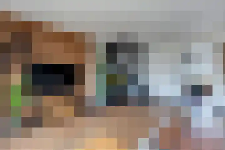 Oevergriend 134 Almere thumbnail 9