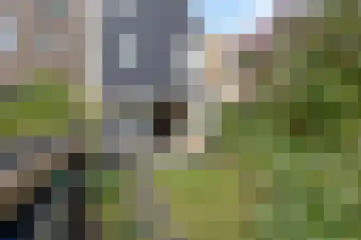 Oevergriend 72 Almere thumbnail 13