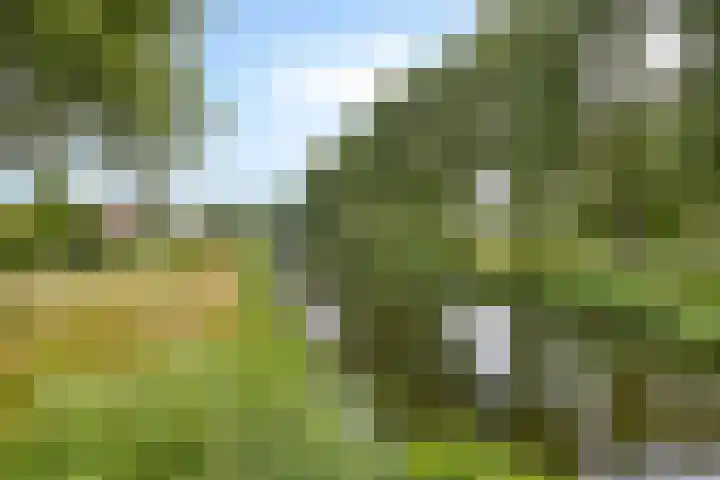Oevergriend 72 Almere thumbnail 27