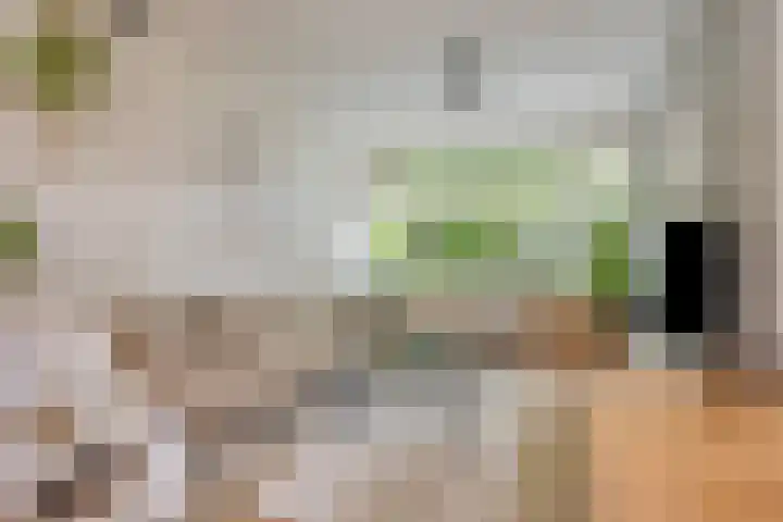 Oevergriend 72 Almere thumbnail 7