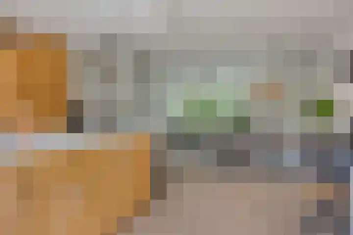 Oevergriend 72 Almere thumbnail 9