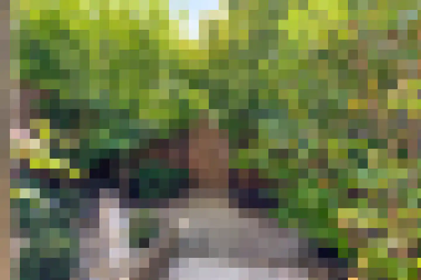 Oevergriend 84 Almere thumbnail 13