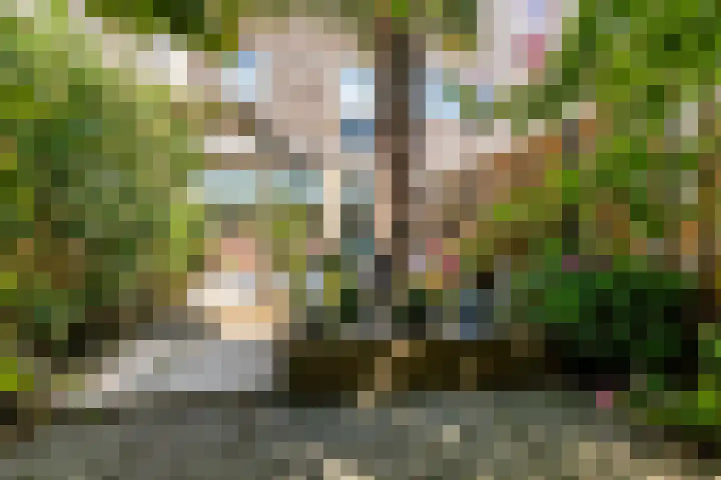Oevergriend 84 Almere thumbnail 32