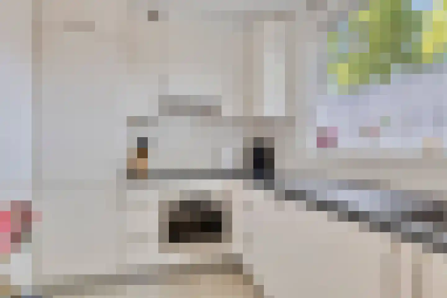 Oevergriend 84 Almere thumbnail 7