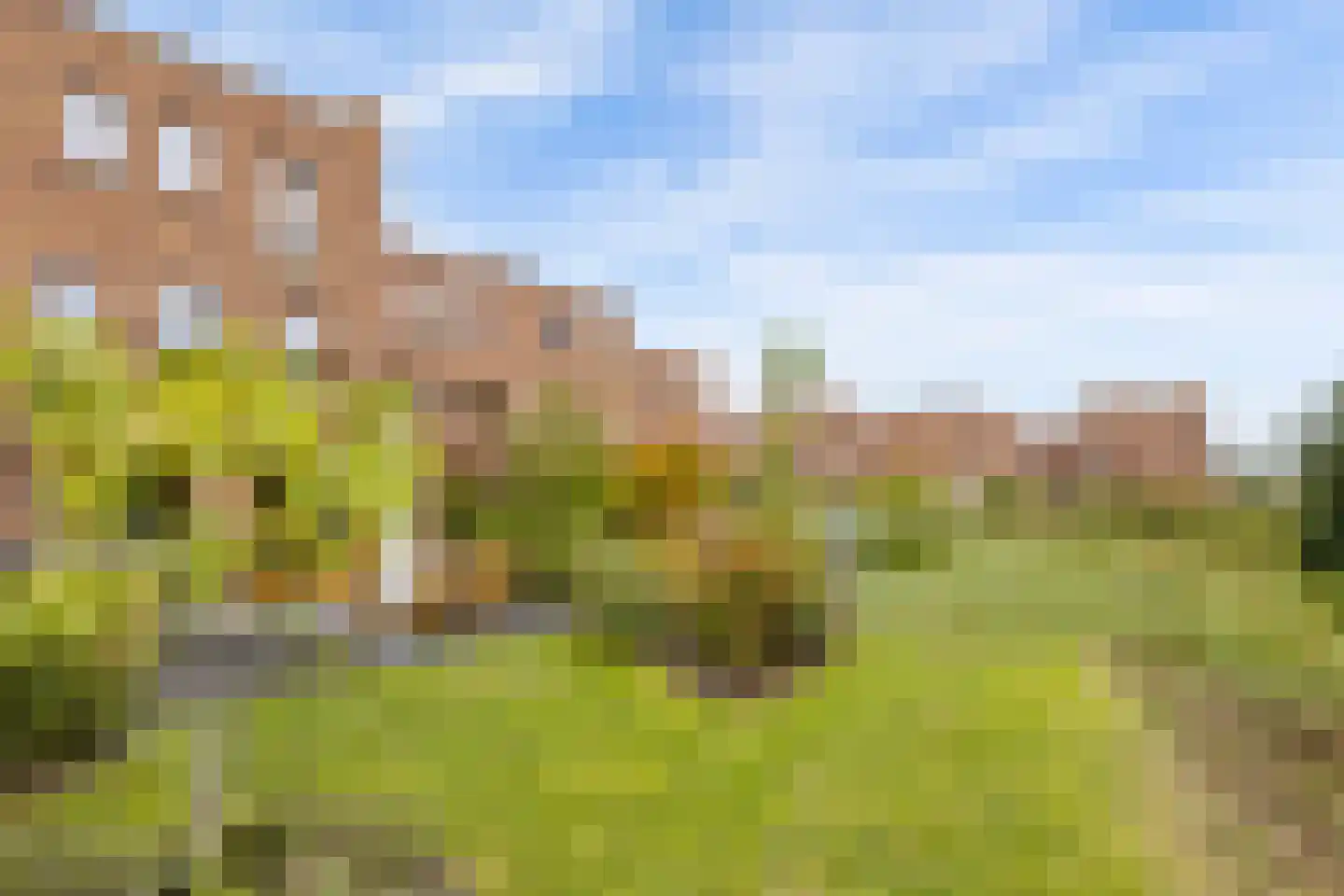 Oeverhuyze 11 's-Hertogenbosch thumbnail 17