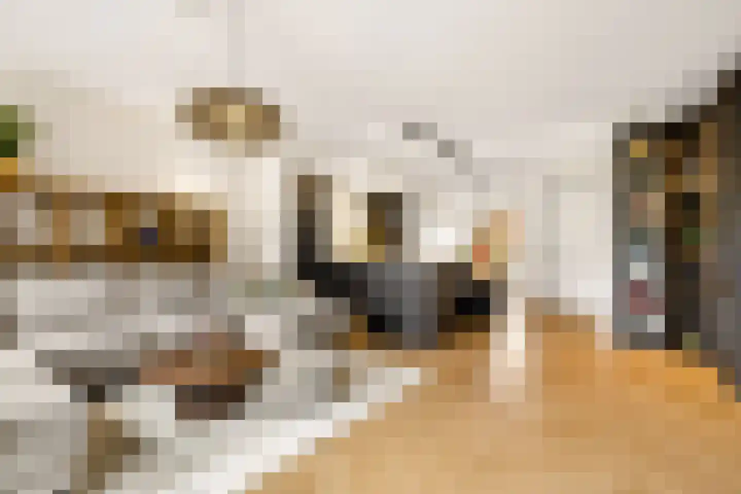 Oeverhuyze 11 's-Hertogenbosch thumbnail 5