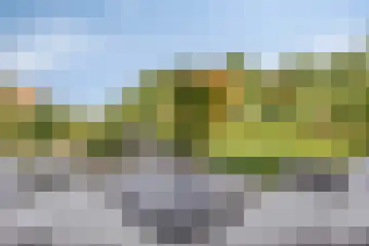 Oeverhuyze 12 's-Hertogenbosch thumbnail 12