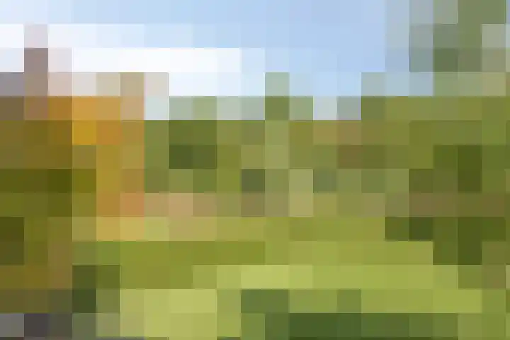 Oeverhuyze 12 's-Hertogenbosch thumbnail 13