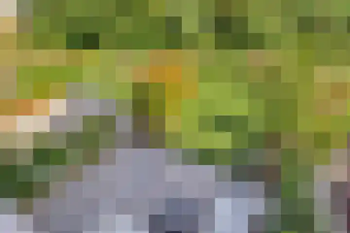 Oeverhuyze 12 's-Hertogenbosch thumbnail 18