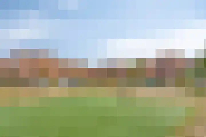 Oeverhuyze 12 's-Hertogenbosch thumbnail 33