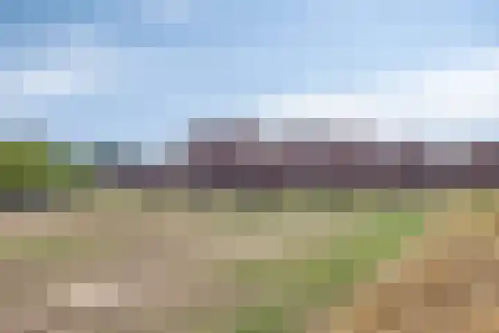 Oeverhuyze 12 's-Hertogenbosch thumbnail 34