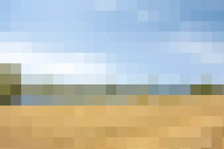 Oeverhuyze 12 's-Hertogenbosch thumbnail 36