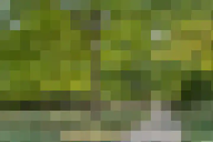 Oeverhuyze 12 's-Hertogenbosch thumbnail 37