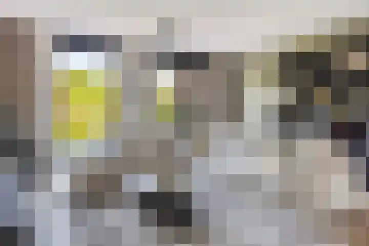 Oeverhuyze 12 's-Hertogenbosch thumbnail 4