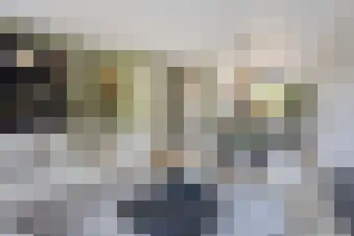 Oeverhuyze 12 's-Hertogenbosch thumbnail 6