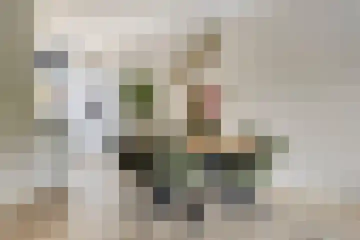 Oeverhuyze 12 's-Hertogenbosch thumbnail 7