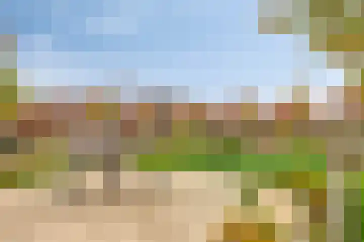 Oeverhuyze 35 's-Hertogenbosch thumbnail 32
