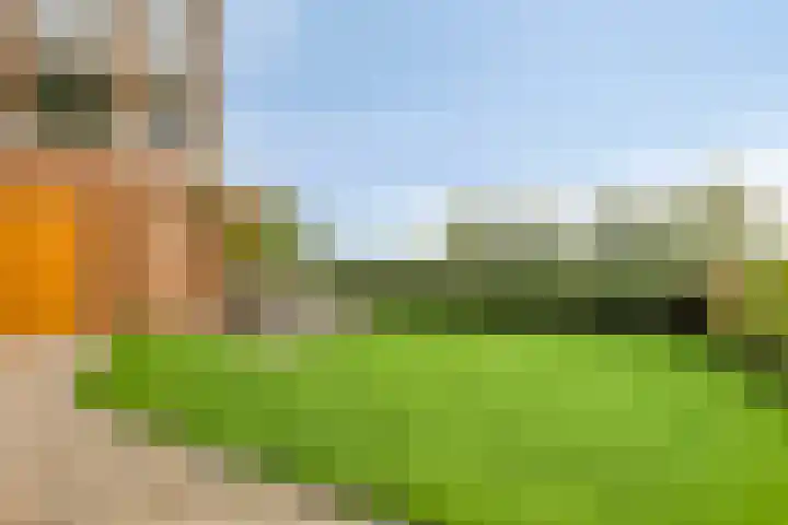 Oeverhuyze 35 's-Hertogenbosch thumbnail 7