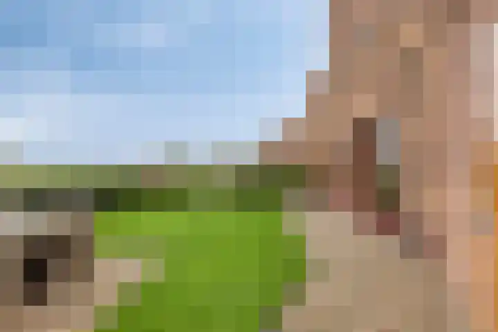 Oeverhuyze 35 's-Hertogenbosch thumbnail 8