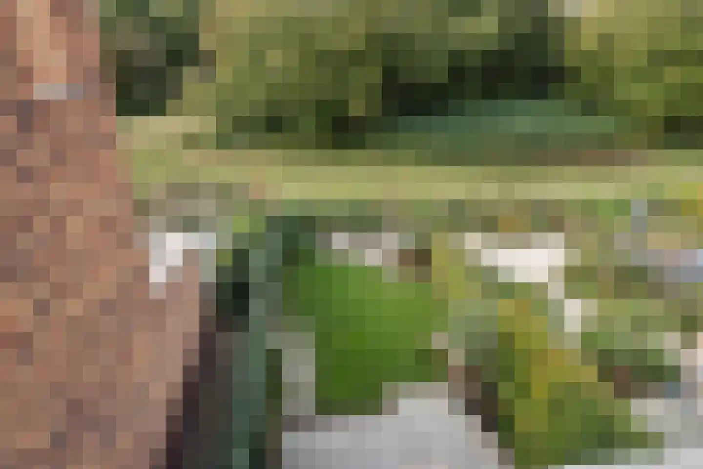 Oeverhuyze 58 's-Hertogenbosch thumbnail 33