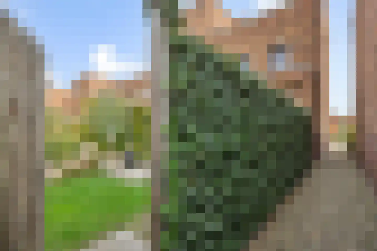 Oeverhuyze 58 's-Hertogenbosch thumbnail 41