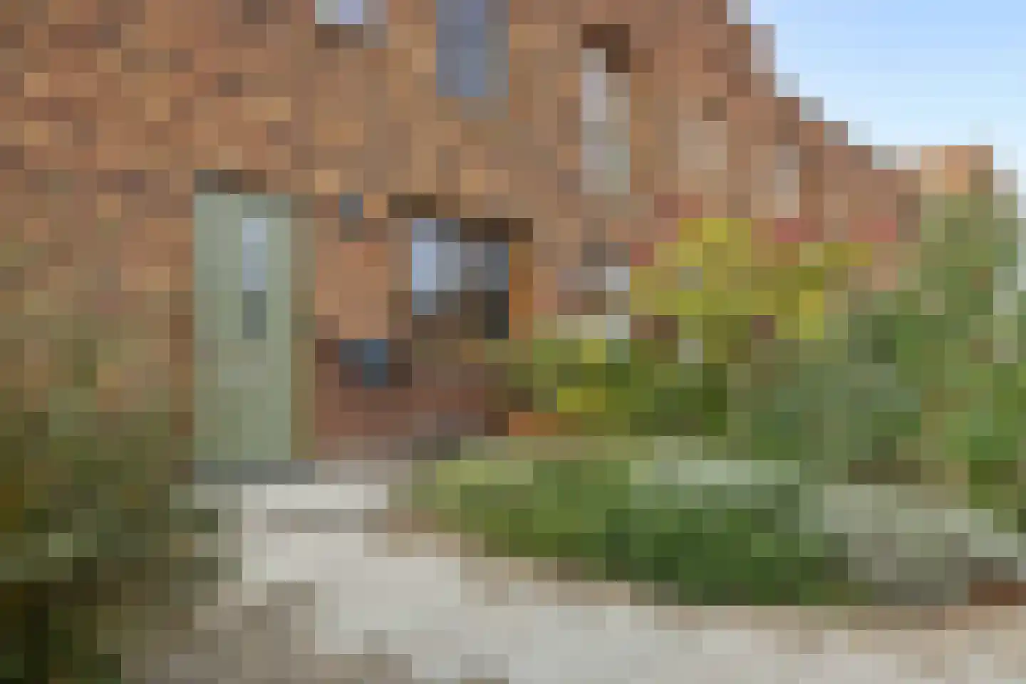 Oeverhuyze 58 's-Hertogenbosch thumbnail 42