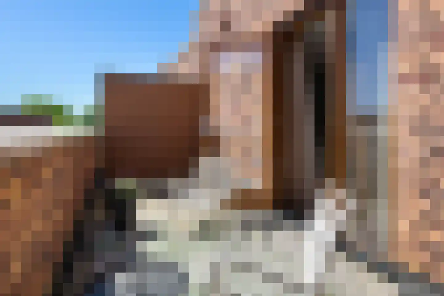 Oeverhuyze 59 's-Hertogenbosch thumbnail 43