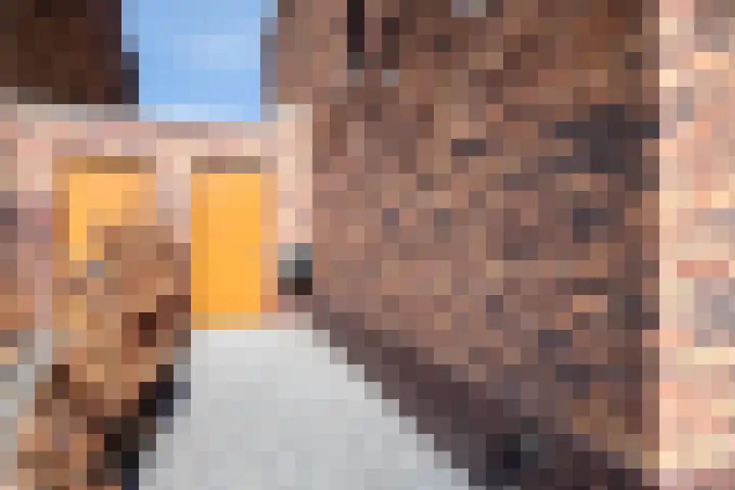 Oeverhuyze 6 's-Hertogenbosch thumbnail 46