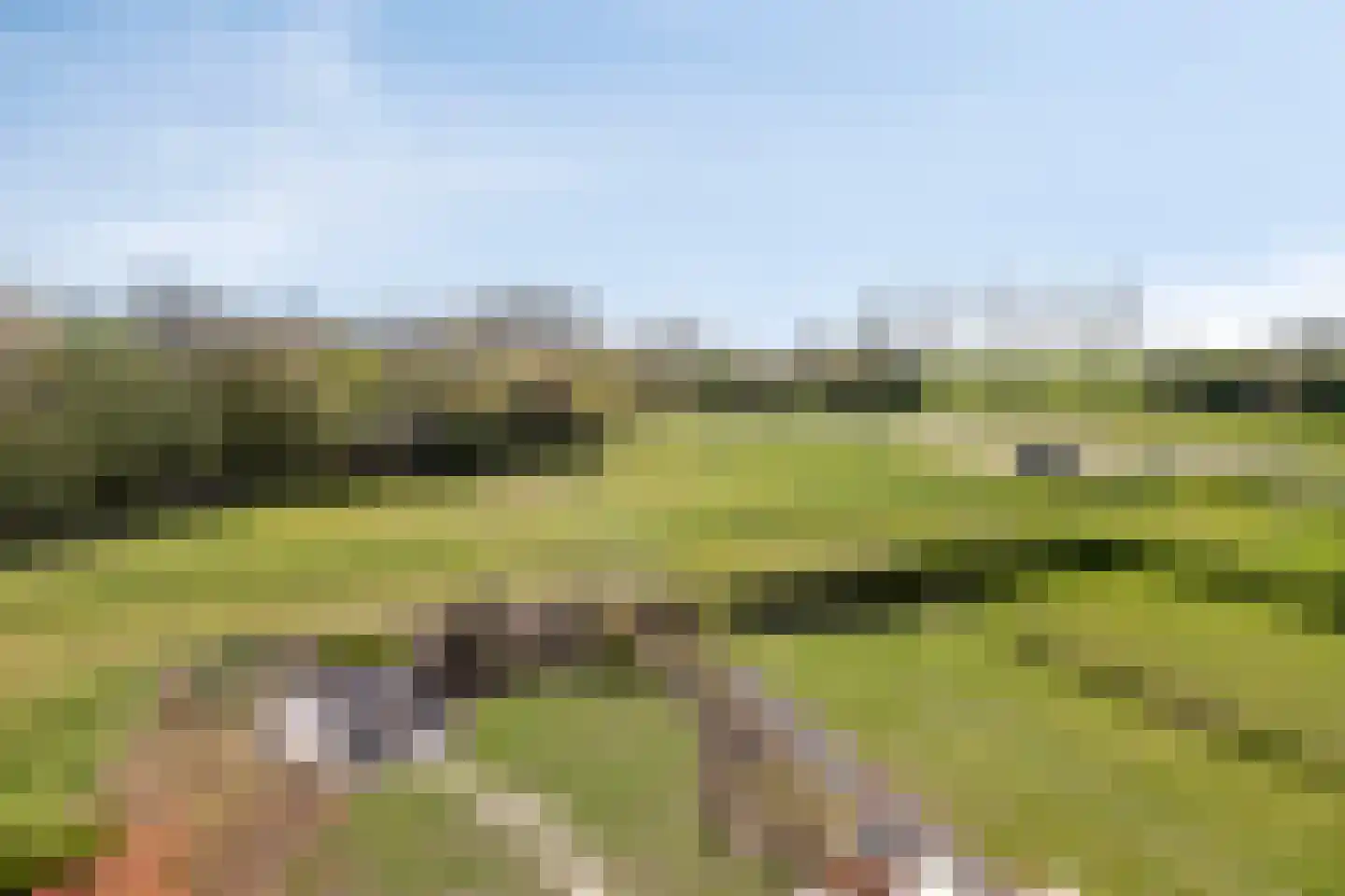 Oeverhuyze 6 's-Hertogenbosch thumbnail 51
