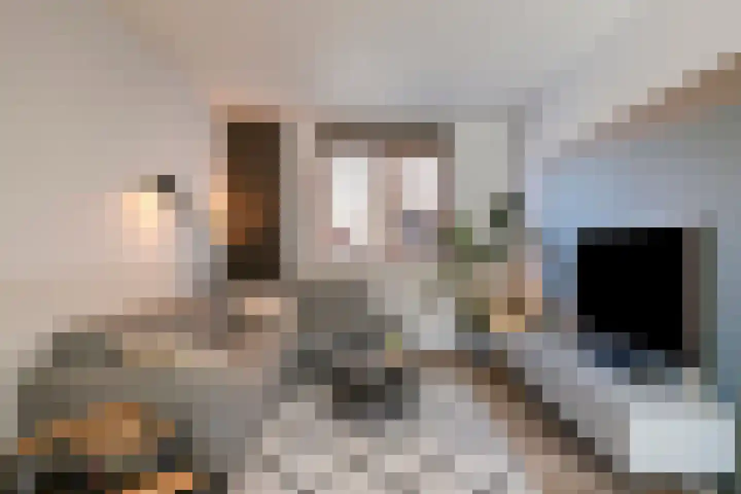 Oeverhuyze 6 's-Hertogenbosch thumbnail 7