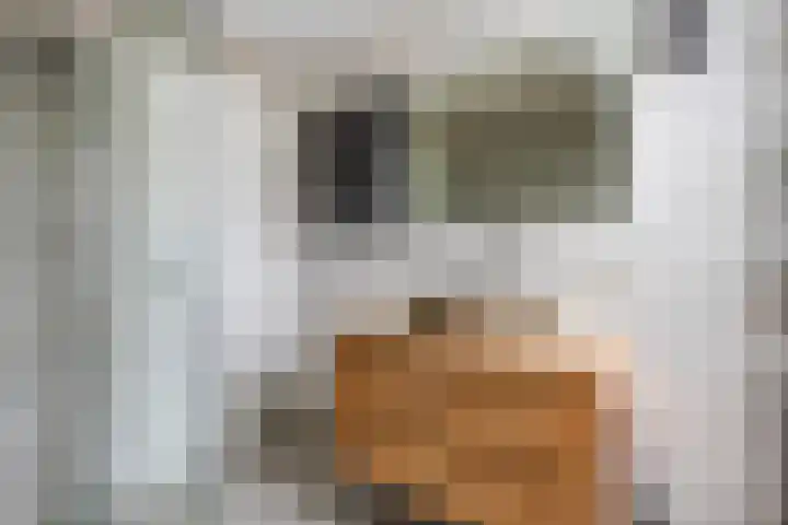 Oeverkamp 27 Bemmel thumbnail 20