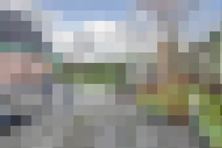 Oeverkamp 27 Bemmel thumbnail 30
