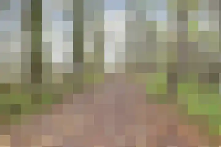 Oeverkamp 27 Bemmel thumbnail 58